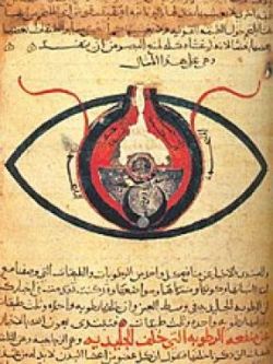 L'occhio secondo Hunayn ibn Ishaq. Da un manoscritto del 1200, Cairo National Library[Pubblico dominio]