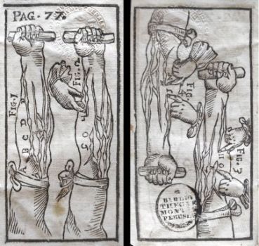 Immagini della prova del braccio [Guilielmi Harveii … De motu cordis, et sanguinis sanguinis in animalibus, anatomica exercitatio...Bononiae, typis Longhi, 1697. Ex Biblioteca Centrale]