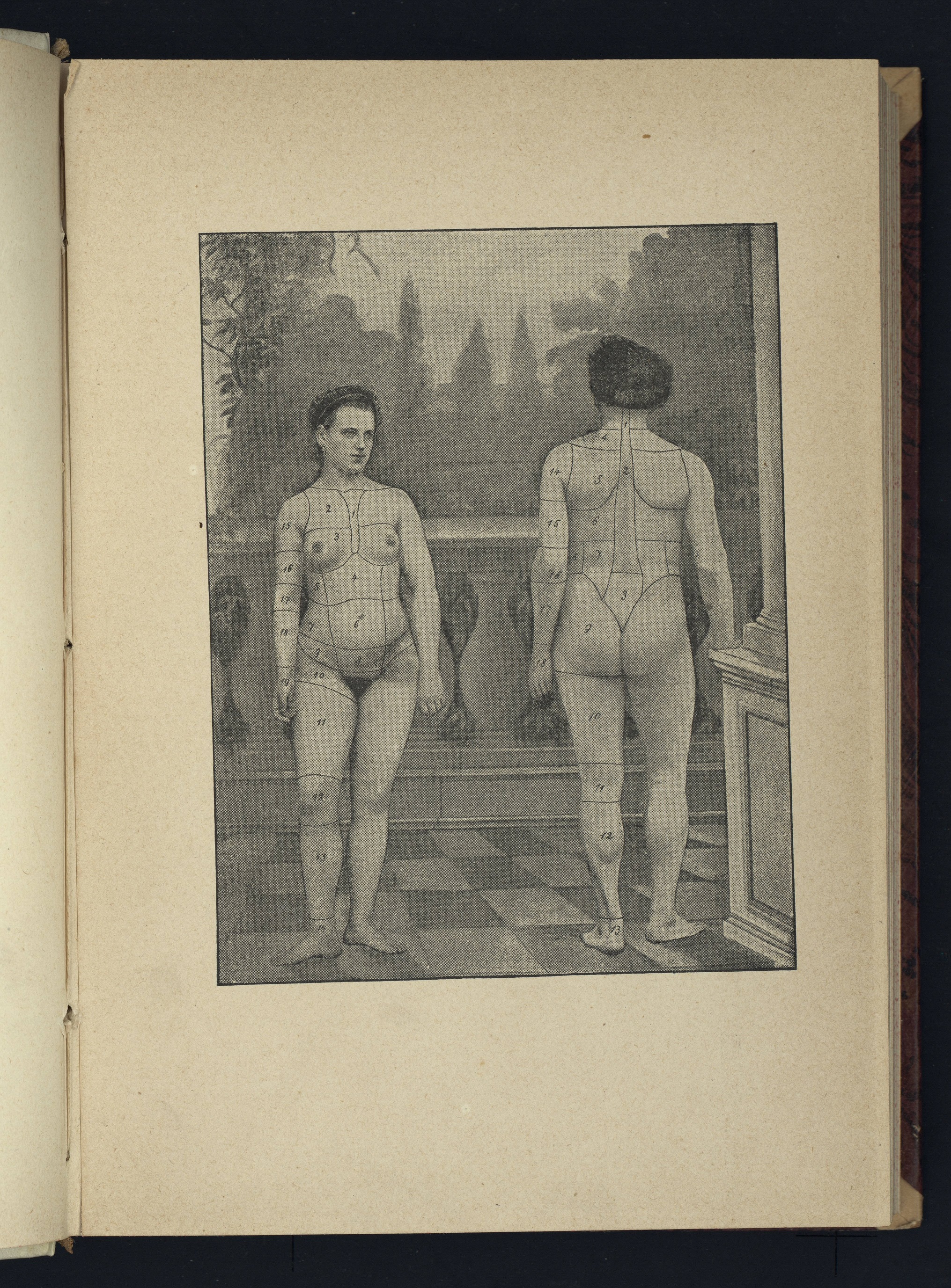 Corso di Anatomia Topografica /N. Rüdinger -  Milano : Vallardi, 1894 (2)